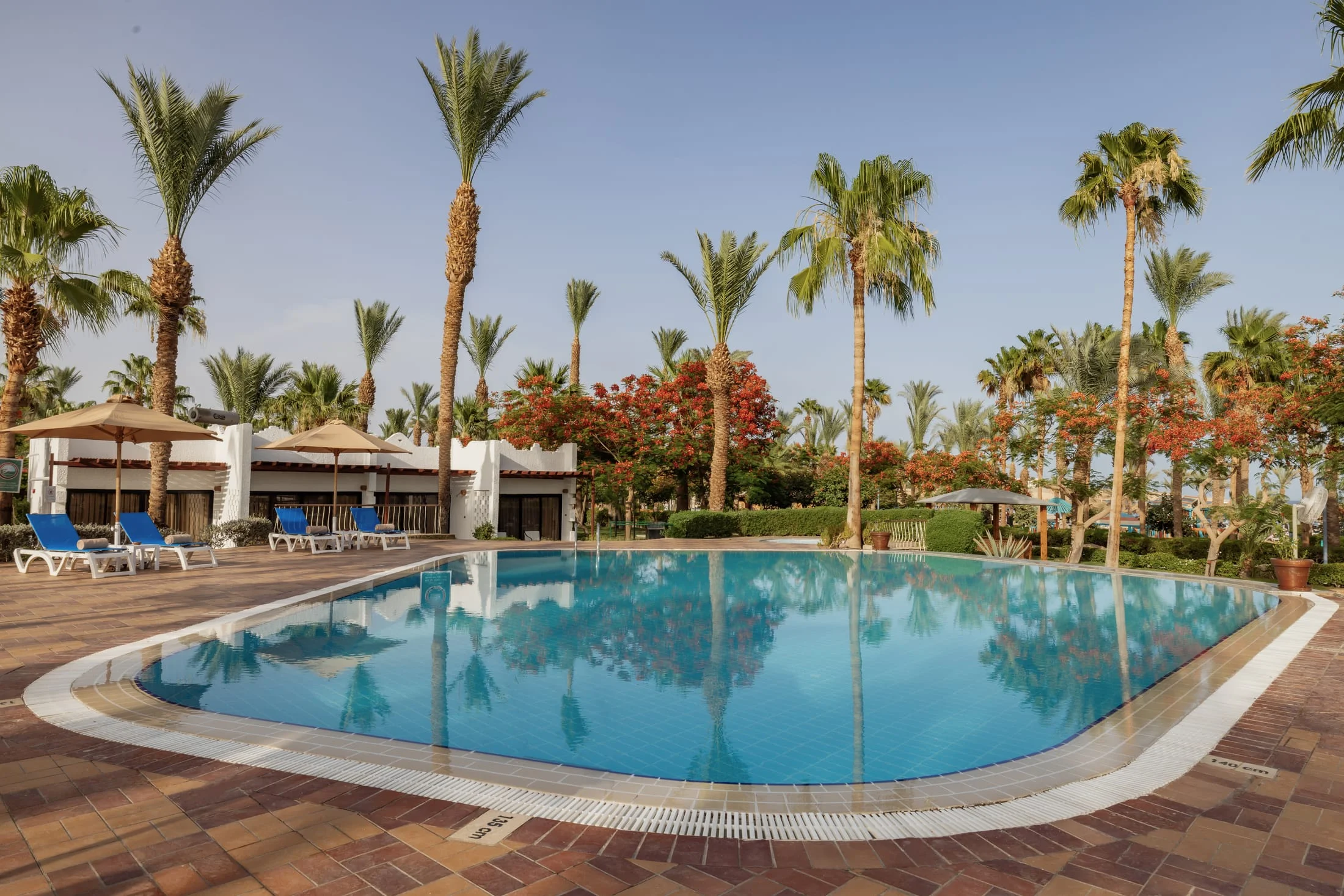 Jaz Fayrouz Resort — photo 17